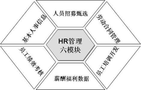 中铝最新人事变动，重塑企业架构，引领未来发展