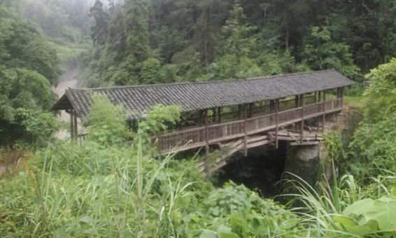 利川毛坝最新消息全面解读