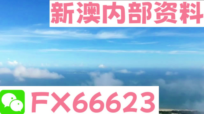 2024新澳免费资料大全精准版|精选解释解析落实