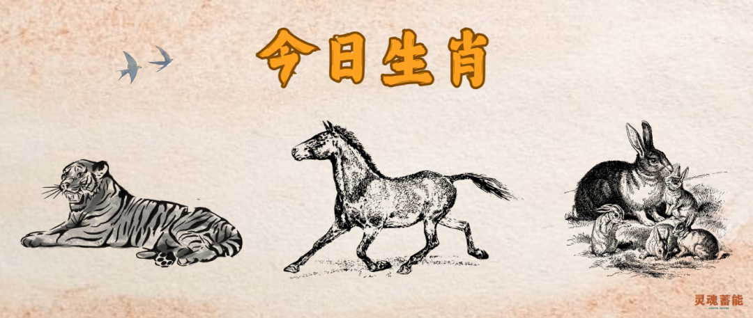 2024年正版四不像|精选解释解析落实