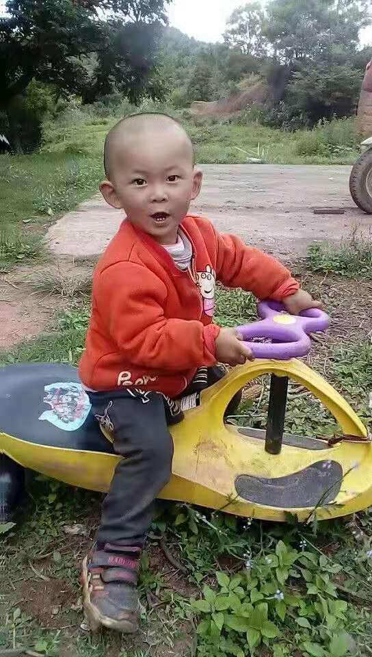 水果奶奶二论坛资料|精选解释解析落实
