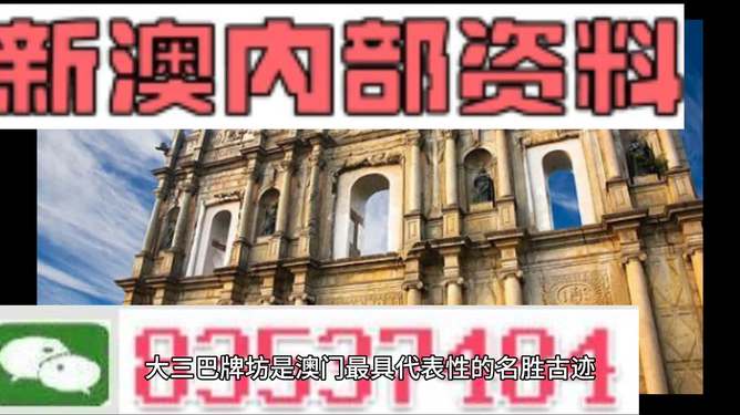 新澳门精准资料免费提供|精选解释解析落实