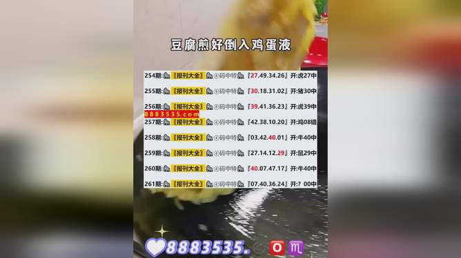 2024年新澳开奖结果记录查询表|精选解释解析落实