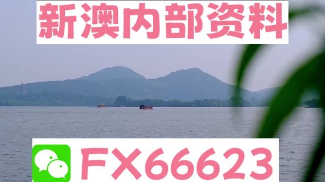 2024年新澳资料免费公开|精选解释解析落实