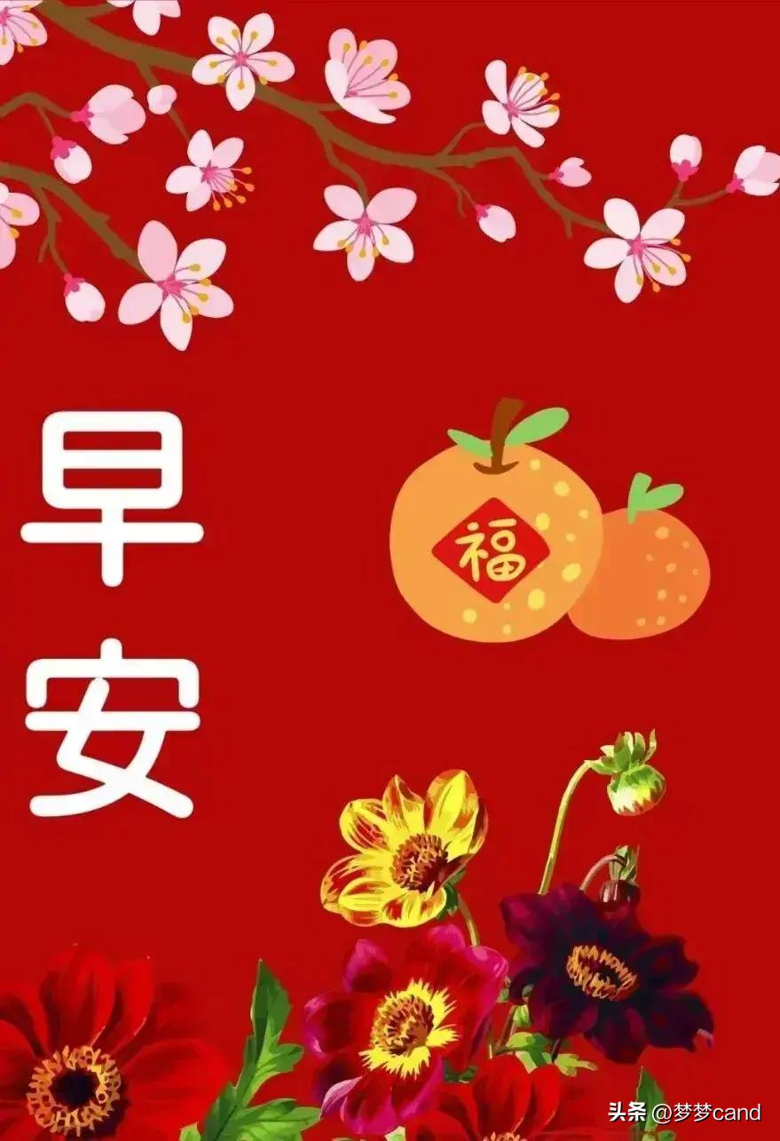 2024天天彩资料大全免费600|精选解释解析落实