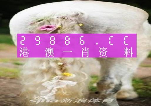 澳门一肖一码准选一码2023年|精选解释解析落实