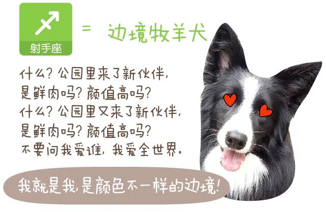 今晚四不像最准确一肖|精选解释解析落实