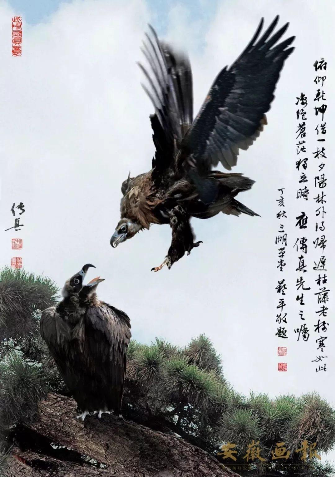 澳门正版传真内部传密|精选解释解析落实