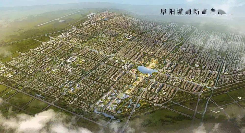 南京万能猪最新进展
