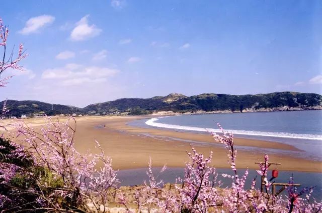 兴化桃花岛最新新闻
