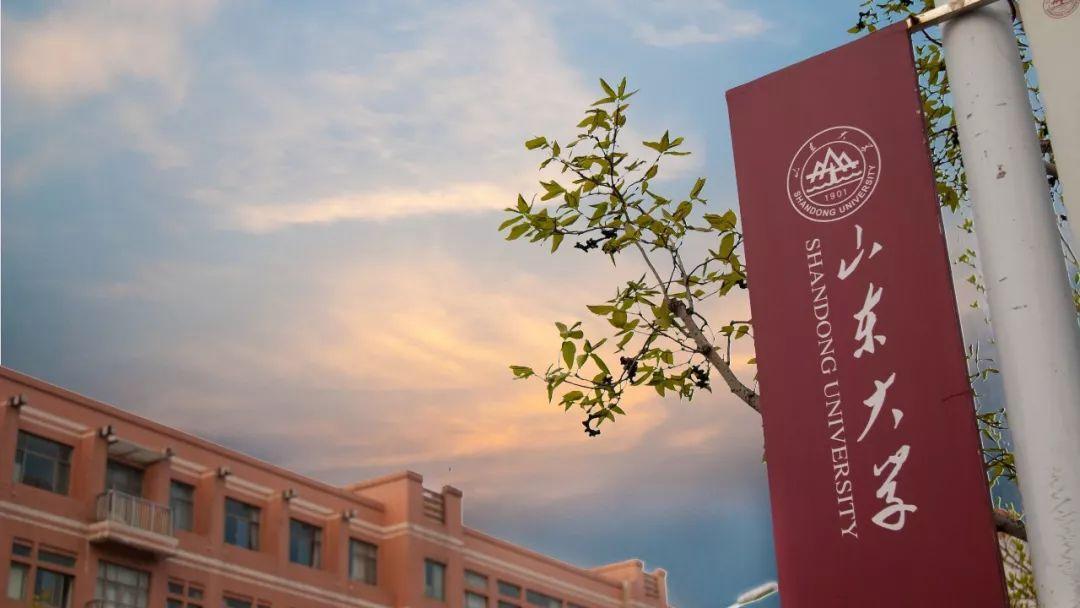 山东省双一流大学最新