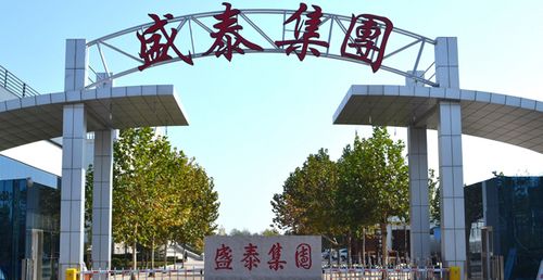东营盛泰集团最新情况