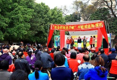 最新平南牛歌戏大全