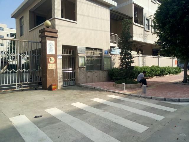 大朗毛织厂最新招聘