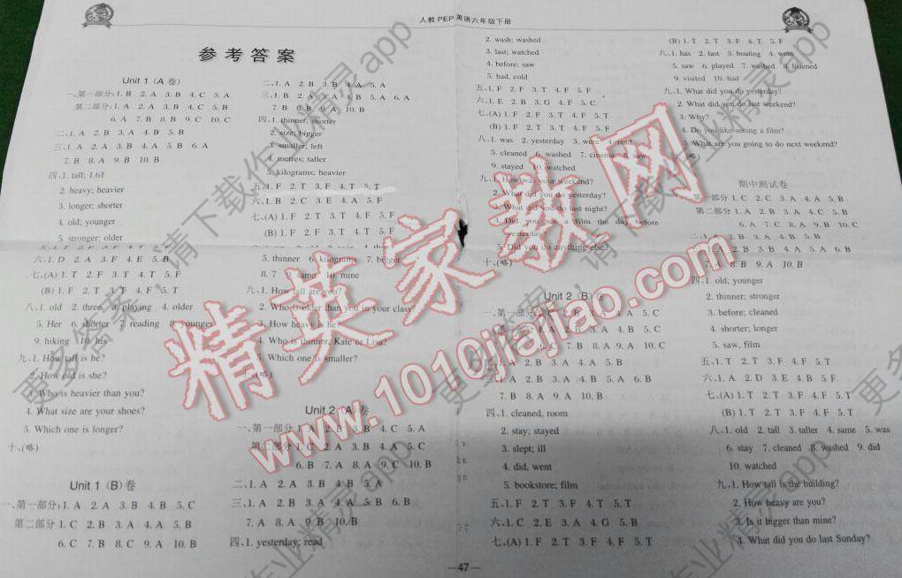 最新ab卷六年级下答案