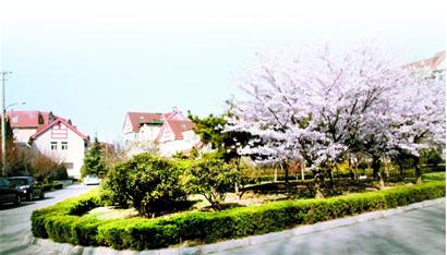 八大湖回迁最新进展