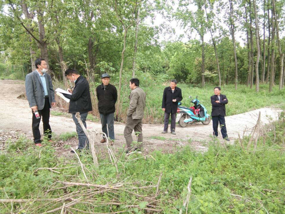 合肥市高刘镇最新消息