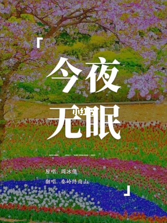 今夜无眠小说封行朗最新章节