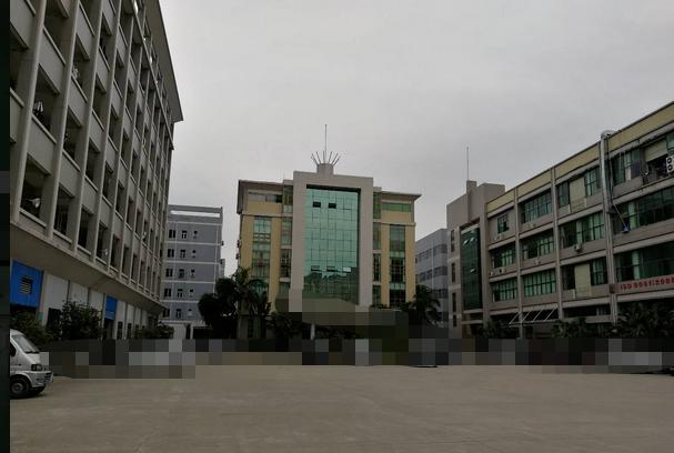 番禺市桥周围最新招聘临工
