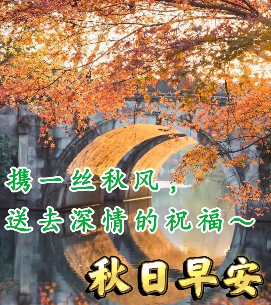 最新广场舞九月九的酒