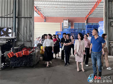 涵江小鱼网最新新闻