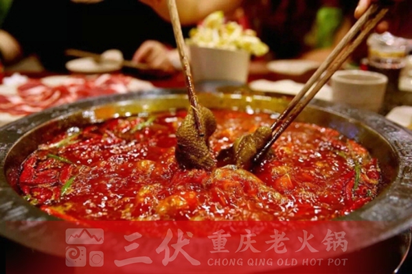 哈尔滨最佳的十个火锅店最新排名