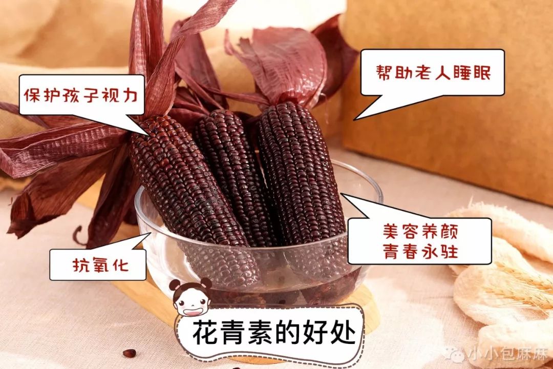 黑玉米价格最新行情