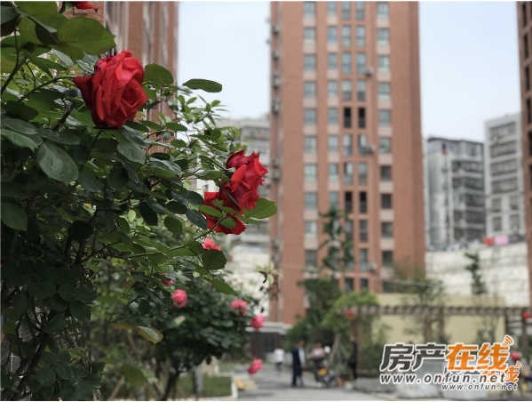 十堰亿科红郡最新消息