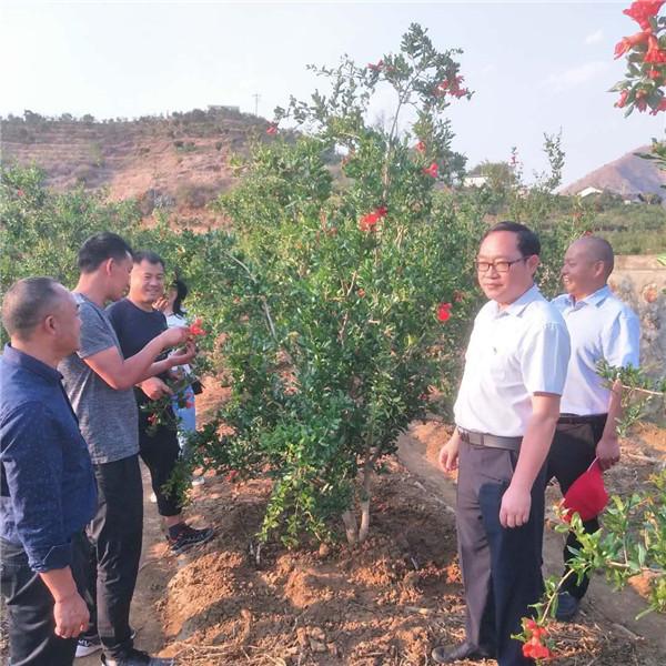 攀枝花新闻网最新消息