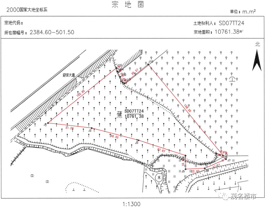 电白水东最新地皮信息