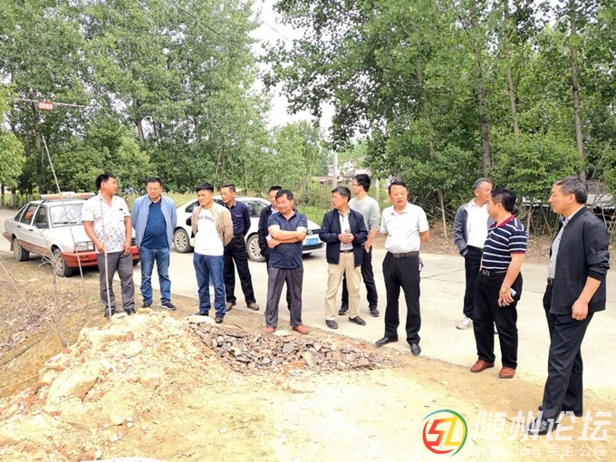 六安三里岗村最新消息