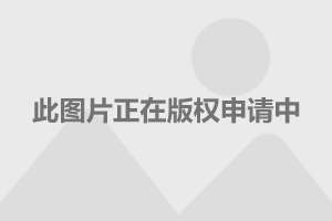 哈飞大霸王