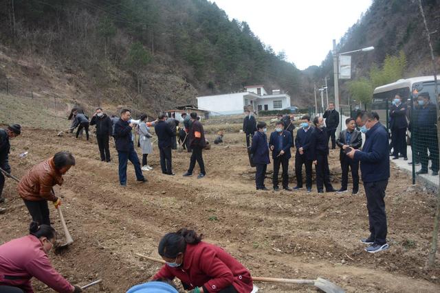 山阳县杨地镇最新消息